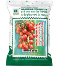 Tomato Indo US Rajshakti